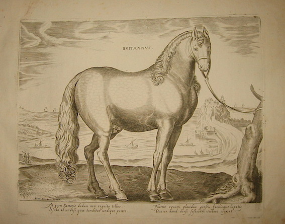 Stradanus Johannes (da un disegno di) Britannus 1580 ca. Anversa 